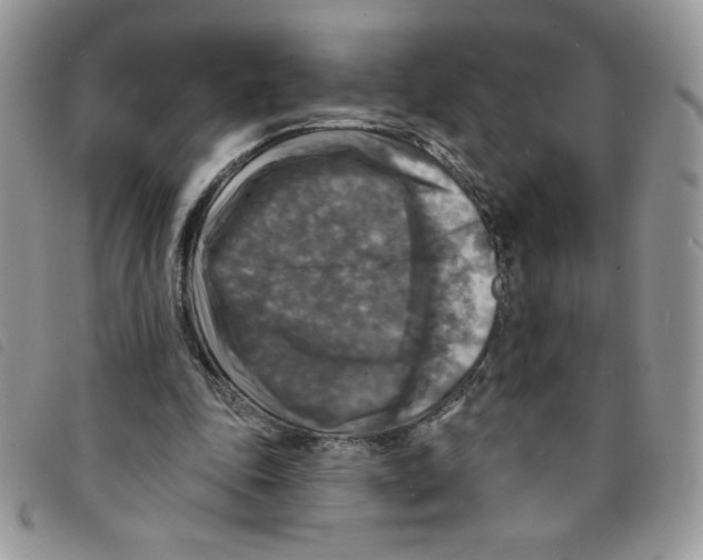 X0000095550343200801111458