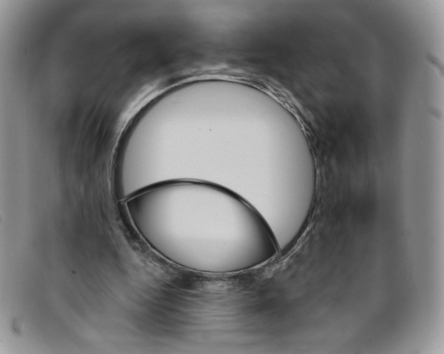 X0000095550344200801111458