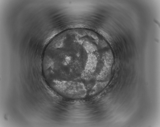 X0000095550345200801111458