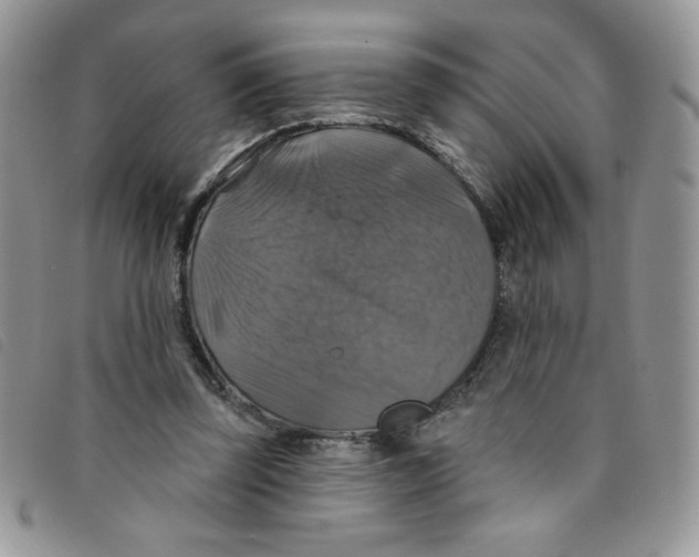 X0000095550347200801111458