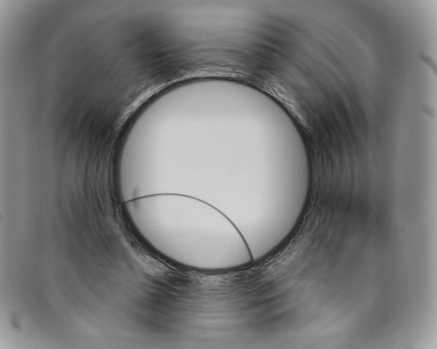 X0000095550348200801111458