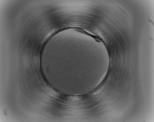 X0000095550349200801111458