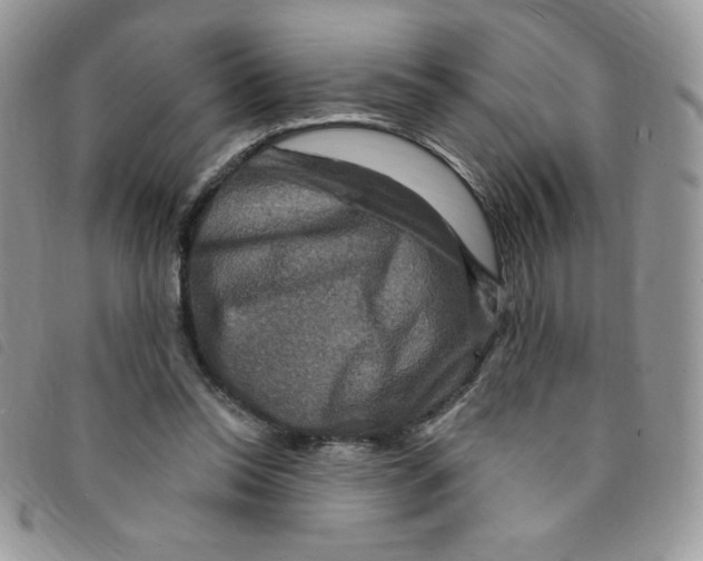 X0000095550350200801111459