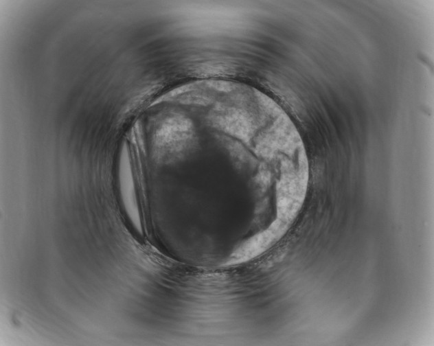 X0000095550353200801111459