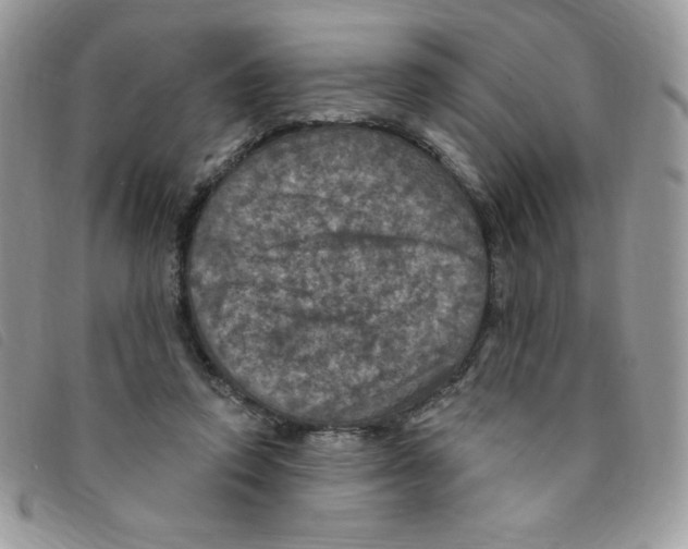 X0000095550354200801111459