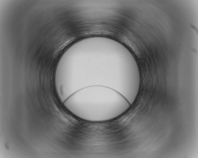 X0000095550356200801111459