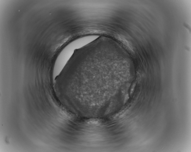 X0000095550358200801111459