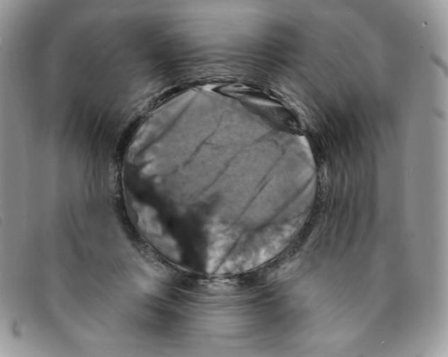 X0000095550359200801111459