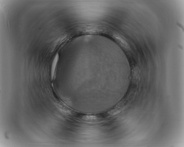 X0000095550361200801111459