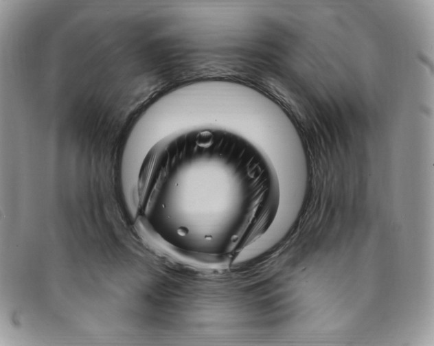 X0000095550362200801111459