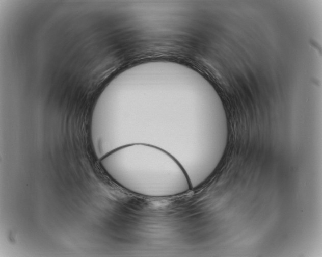 X0000095550364200801111459