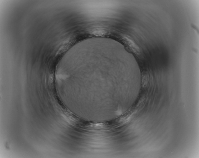 X0000095550365200801111459