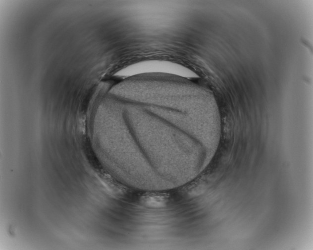 X0000095550368200801111459