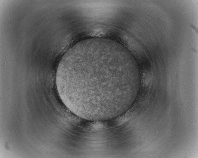 X0000095550370200801111459