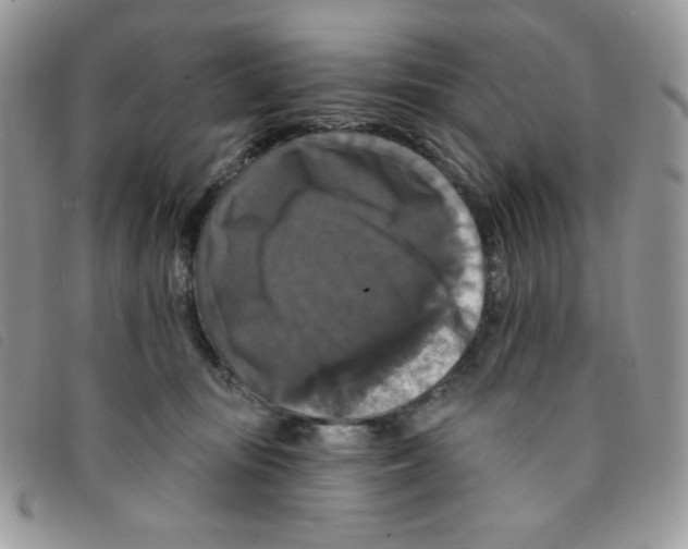 X0000095550371200801111459