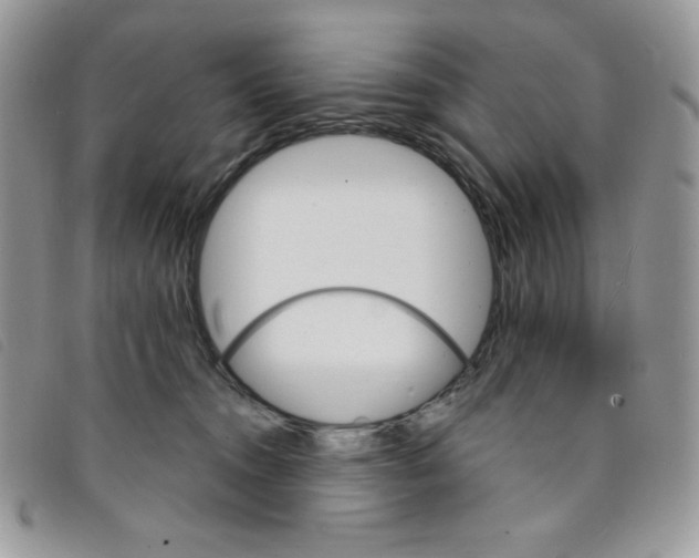 X0000095550372200801111459