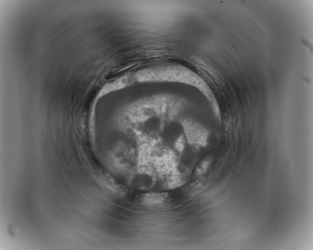 X0000095550373200801111459