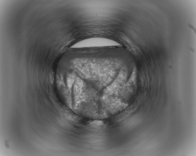 X0000095550374200801111459