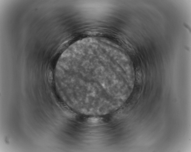 X0000095550375200801111459