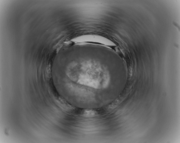 X0000095550376200801111459