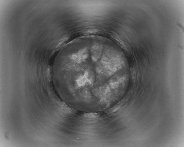 X0000095550378200801111459