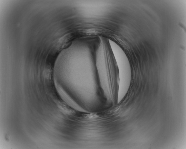 X0000095550379200801111459