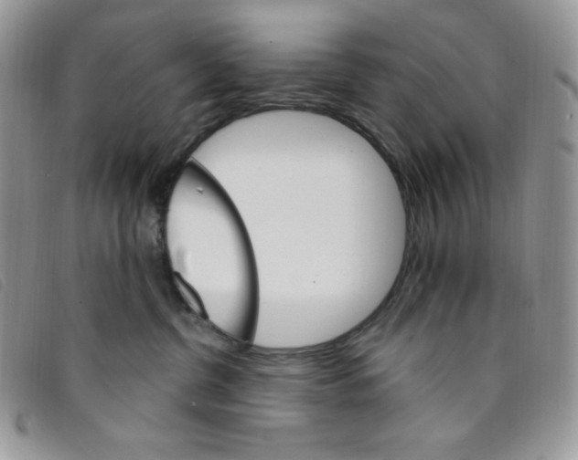 X0000095550380200801111459