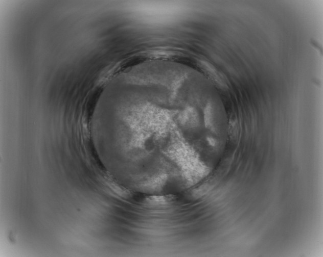 X0000095550381200801111459