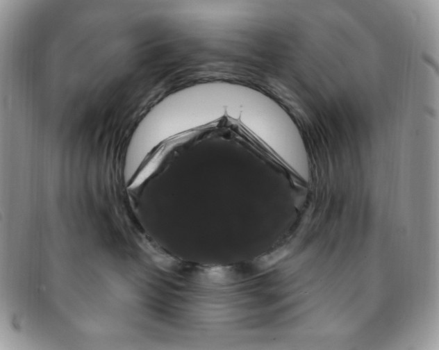 X0000095550382200801111459