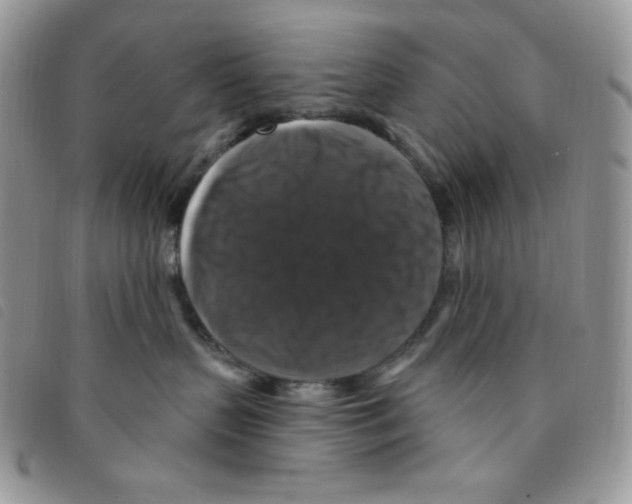 X0000095550383200801111459