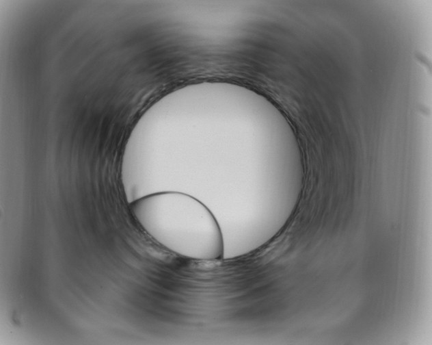 X0000095550384200801111459