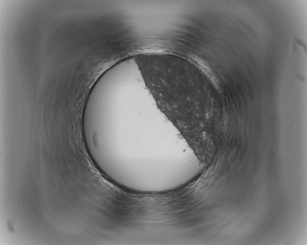 X0000095550385200801111458