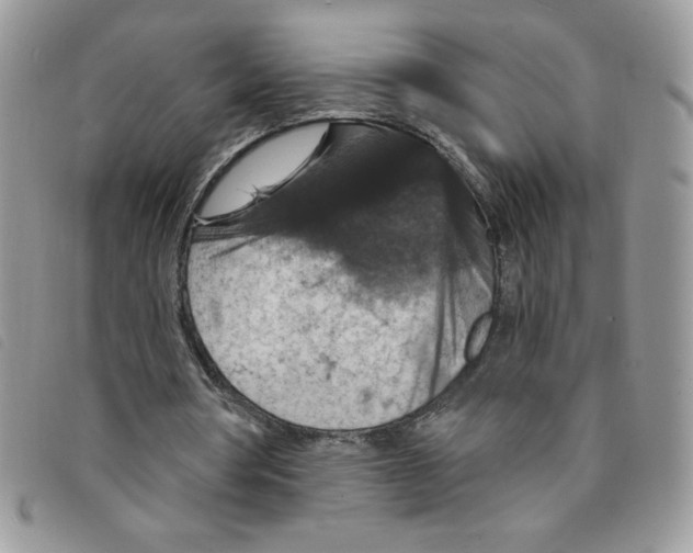 X0000095550386200801111458