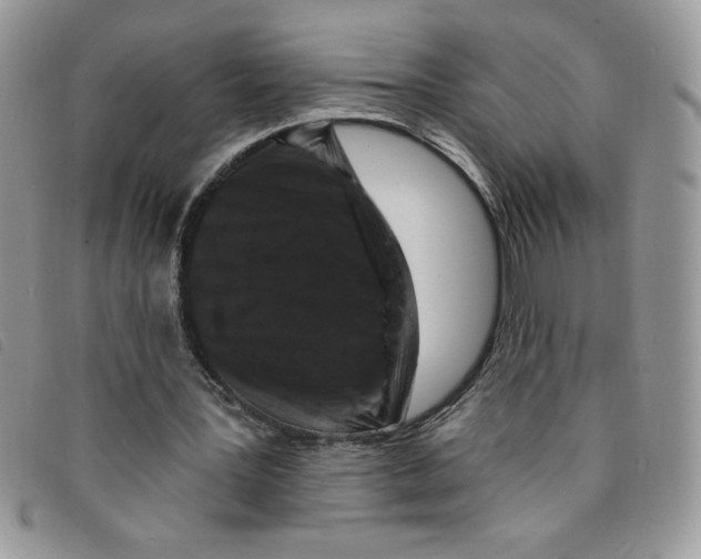 X0000095550387200801111458