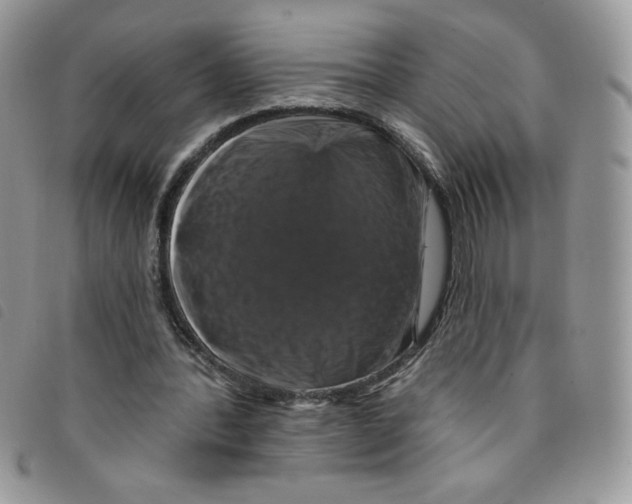 X0000095550388200801111458