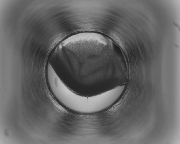 X0000095550389200801111458