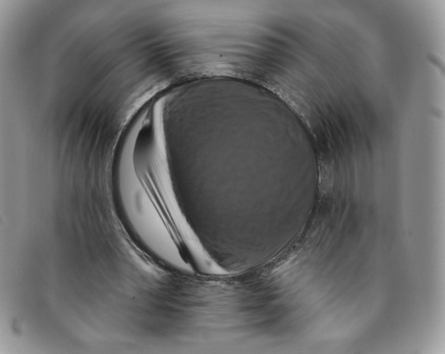 X0000095550390200801111458