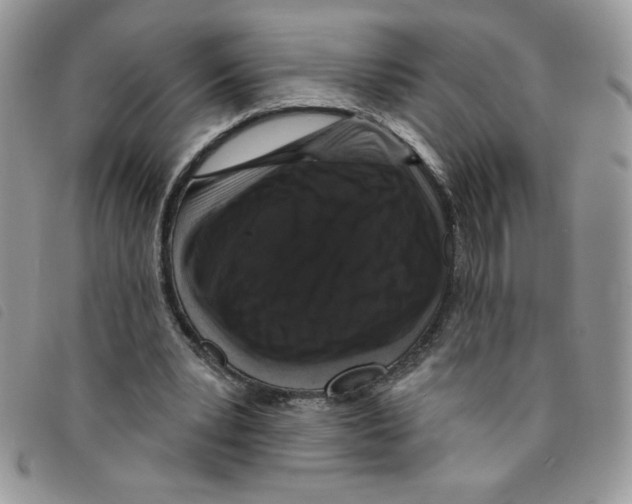 X0000095550391200801111458