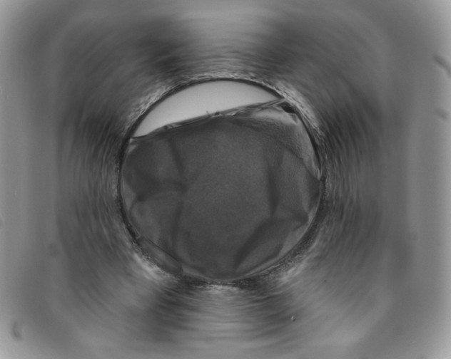 X0000095550393200801111458