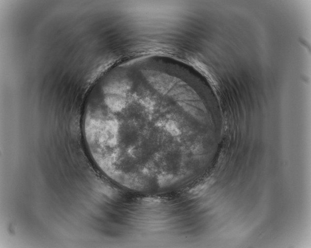 X0000095550394200801111458