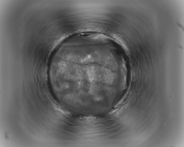 X0000095550395200801111458