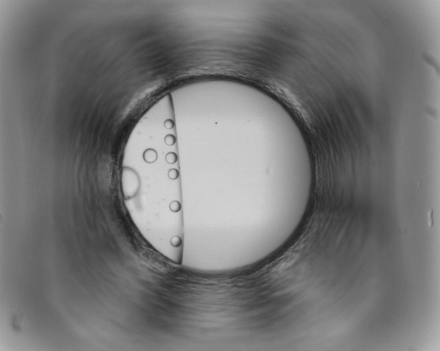 X0000095550396200801111458