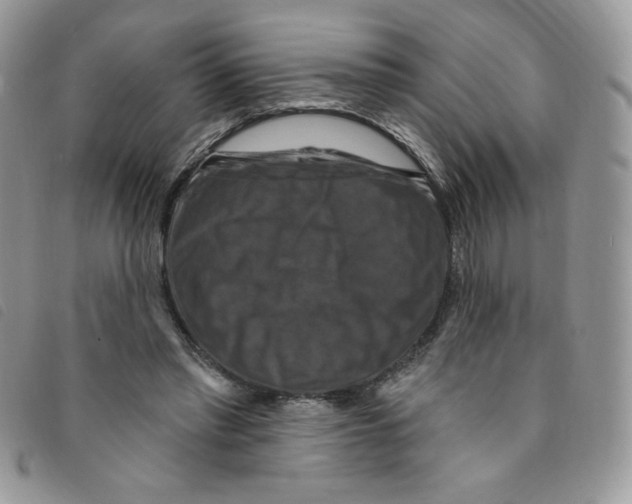 X0000095550397200801111458