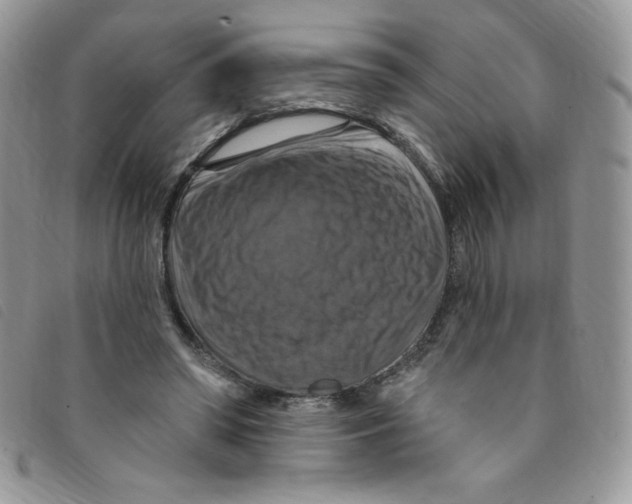 X0000095550398200801111458