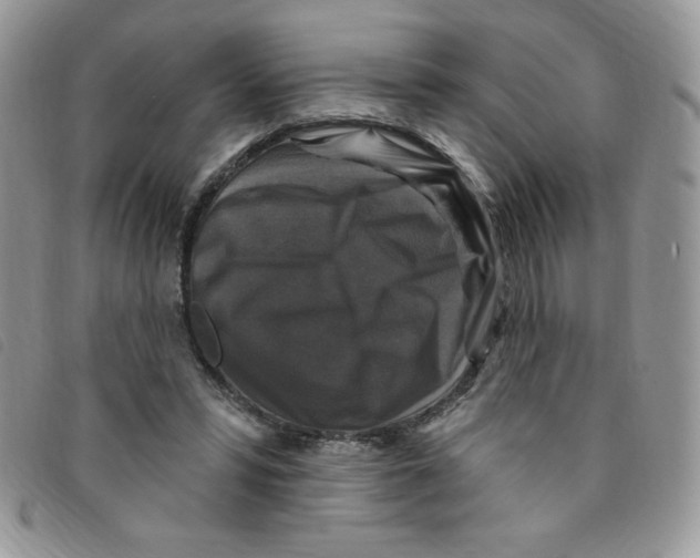 X0000095550399200801111458