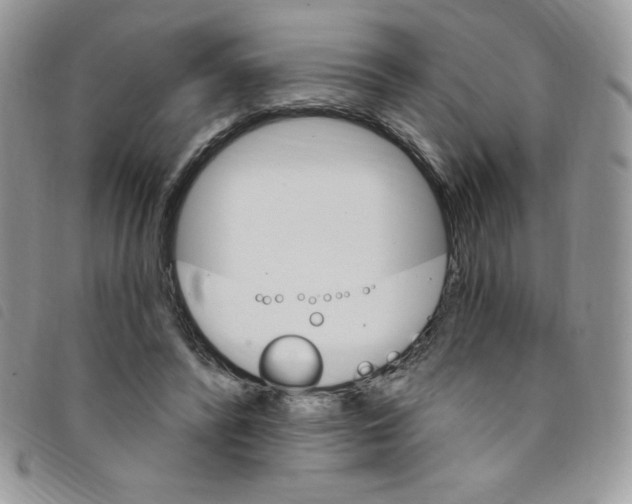 X0000095550400200801111458