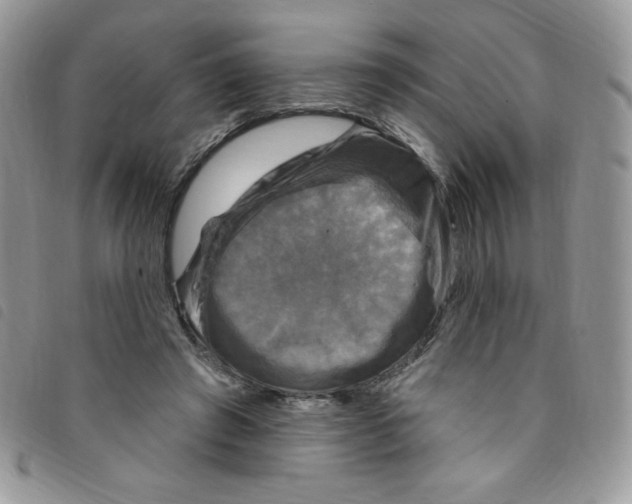 X0000095550401200801111458