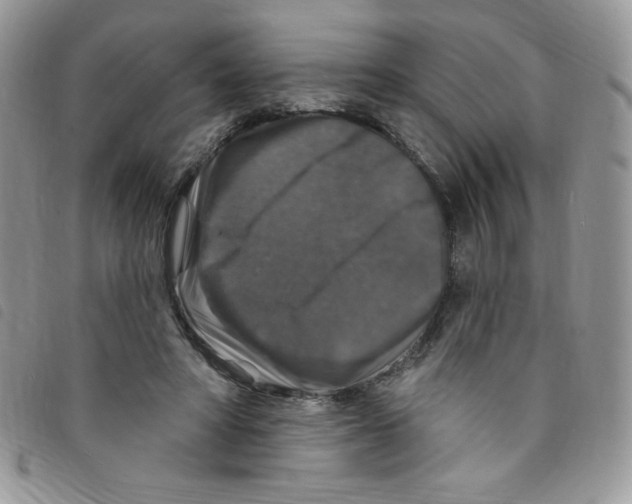 X0000095550402200801111458