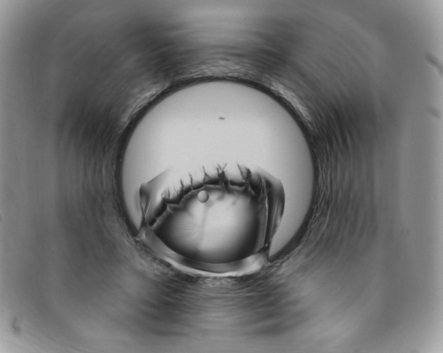 X0000095550403200801111458