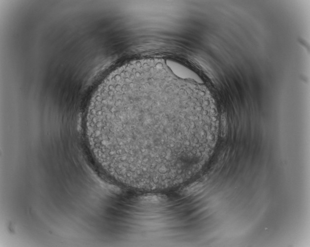 X0000095550404200801111458